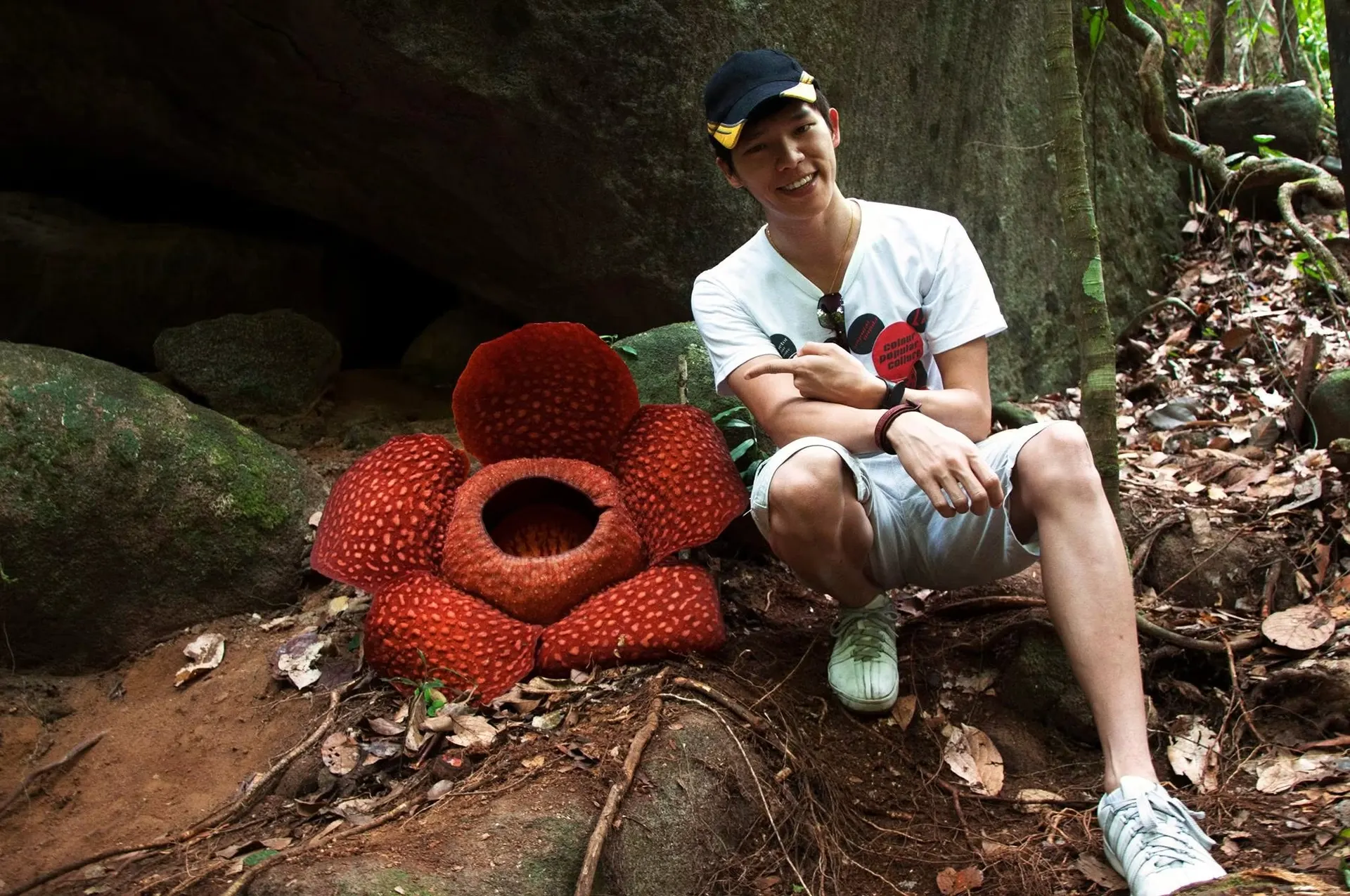 Dr. Jovian Tan in a cap and white T-shirt, crouching beside a large red Rafflesia flower in bloom on a rainforest floor